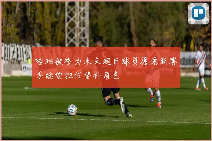 哈珀被誉为未来超巨球员愿意新赛季继续担任替补角色