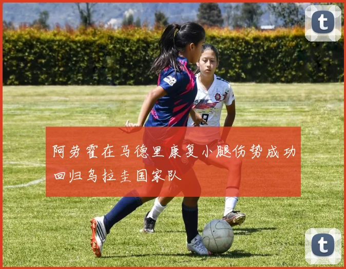 阿劳霍在马德里康复小腿伤势成功回归乌拉圭国家队